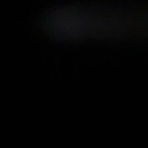 Meet your Posher, Toni